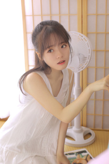 JAPANESE WIFE